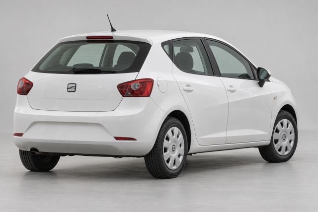 SEAT Ibiza · 2009