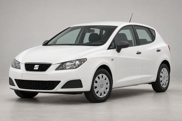 SEAT Ibiza · 2009